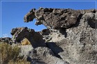 Fish Slough Petroglyphs