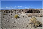 Fish Slough Petroglyphs