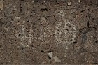 Fish Slough Petroglyphs