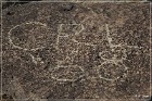 Fish Slough Petroglyphs
