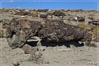 Fish Slough Petroglyphs