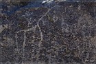 Fish Slough Petroglyphs