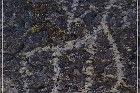 Fish Slough Petroglyphs