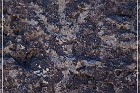 Fish Slough Petroglyphs