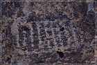 Fish Slough Petroglyphs