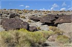 Fish Slough Petroglyphs