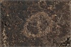 Fish Slough Petroglyphs