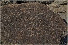 Fish Slough Petroglyphs