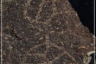 Fish Slough Petroglyphs