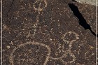 Fish Slough Petroglyphs