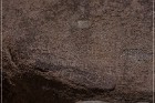 Hondo Wash Rock Art Site