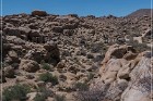 Hondo Wash Rock Art Site