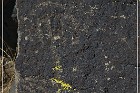 Inscription Canyon Petroglyphs
