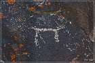 Inscription Canyon Petroglyphs