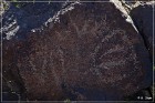 Inscription Canyon Petroglyphs
