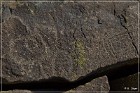Inscription Canyon Petroglyphs