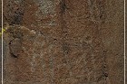 Inscription Canyon Petroglyphs