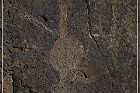 Inscription Canyon Petroglyphs