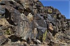 Inscription Canyon Petroglyphs