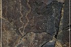 Inscription Canyon Petroglyphs