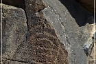Inscription Canyon Petroglyphs