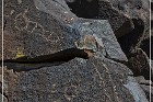 Inscription Canyon Petroglyphs