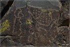 Inscription Canyon Petroglyphs