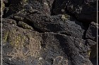 Inscription Canyon Petroglyphs