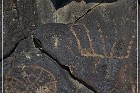 Inscription Canyon Petroglyphs