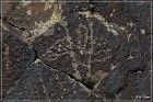 Inscription Canyon Petroglyphs