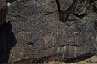 Inscription Canyon Petroglyphs
