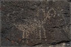 Inscription Canyon Petroglyphs