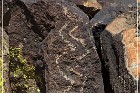 Inscription Canyon Petroglyphs