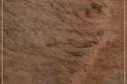 Bloody Hands Pictographs