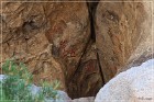 Disney Pictographs (2014)