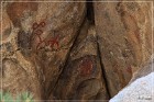 Disney Pictographs (2014)