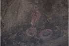 Disney Pictographs