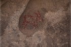 Disney Pictographs