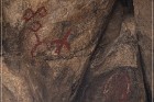 Disney Pictographs