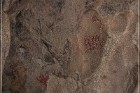 Disney Pictographs