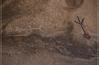 Disney Pictographs