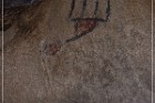 Disney Pictographs