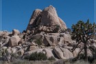 Red Lady Pictographs