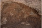 Slap Rock Shelter Pictographs