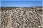Topock Maze Archeological Site