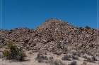 Yaranka Canyon Petroglyphs