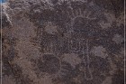 Yaranka Canyon Petroglyphs
