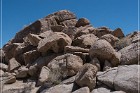 Yaranka Canyon Petroglyphs