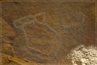 Cow Canyon Site