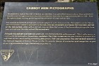 Carrot Man Site